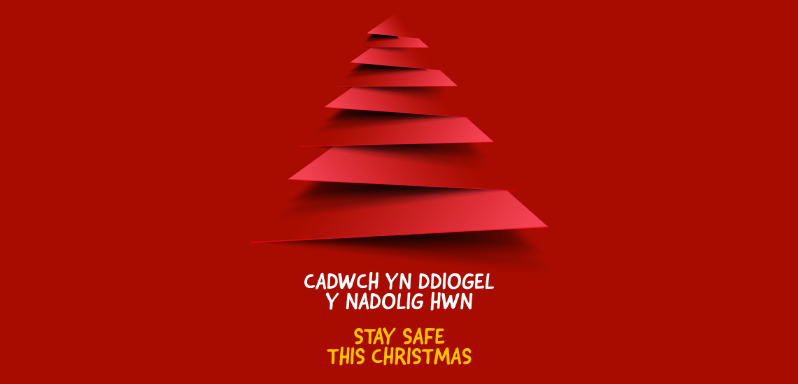 Christmas Nadolig